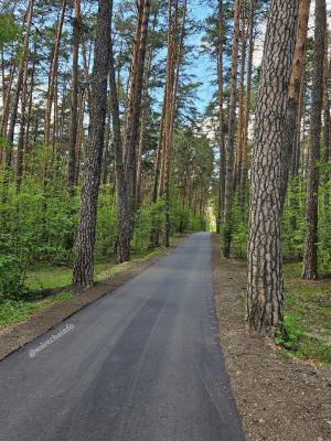 В Солотче уложили асфальт на дороге по направлению к Лысой горе